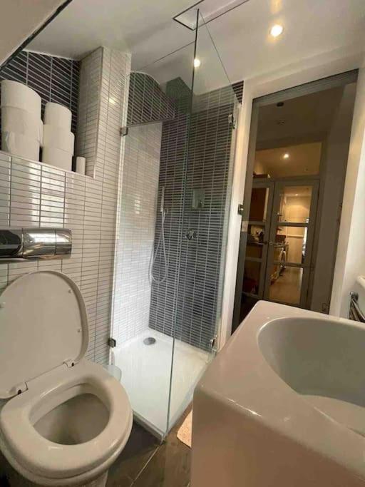Large Studio Flat In Kensington Лондон Экстерьер фото